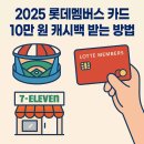 세븐일레븐~롯데시네마 | 2025 롯데멤버스 카드 10만 원 캐시백 받는 방법 | 사직구장·세븐일레븐 실사용 꿀팁