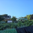 가평 아름마루 독채 애견펜션2 이미지