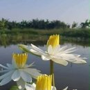 새 시대의 희망 이미지