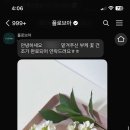 플로브아