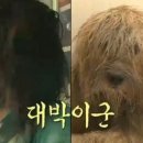 출근햇내..에어컨 틀기 애매한 날씨라 창문열고 왓더니 이미지