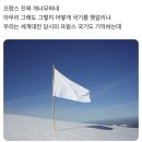 아무리 그래도 그렇지 어떻게 국기를 헷갈리냐 우리는 세계대전 당시의 프랑스 국기도 기억하는데.jpg 이미지