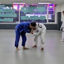 용주짓수화성