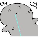 북촌손만두나주