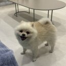 씨유(CU) 당리배고개점 | [일상] 기다리셨나요, 그렇다고 해주세요.