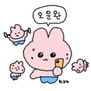 헤이폴앤댄스스튜디오