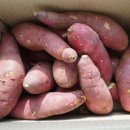 대림농산 - 청양군 칠갑산로 1348-41 | 대림농산