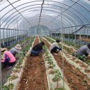 문광면사무소 이미지