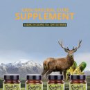 야옹아멍멍해봐 리딩샵 이미지