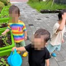 제이드어린이집 이미지