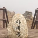 바래봉 산행 이미지