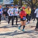 11/19(일)부산시민달리기대회＜15.7km＞ 이미지