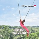 3870 | 발리 우붓 여행 필수 코스 스윙헤븐 발리스윙 점심 포함 가격 후기