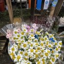 현대시장(현대상가시장) | 남대문 꽃시장 , 현대기물 , 신혼그릇 구경 시라쿠스 구매후기