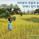 눈사람안경원 이미지