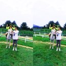 석태농장 | 강릉 여행 ,대관령 맛집 :: 대관령 양떼목장 말고!! 체험의 급이 다른 대관령 당나귀목장 돈키호테...