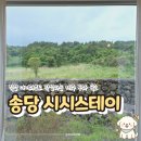 제주 동부 구좌읍 숙소 송당 시시스테이, 태교여행 커플여행 에어비앤비 추천, 주차 및 솔직 후기