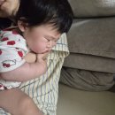 삼일어린이집 | 육아일기 #31_9개월 아기의 어린이집 적응기