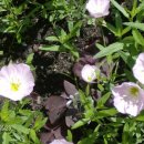 한아름헬스클럽 이미지