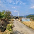 옥천랜드공인중개사사무소 이미지