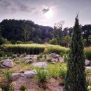 시네마스테이 이미지