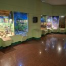 도시로 떠나는 역사 이야기 이미지