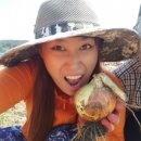 딸기엄마양파아빠 이미지