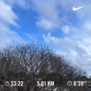 하윤스토리 | • 0309 / Día 300 • 백수의 평일, 스페인에 온 지 300일!