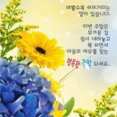 8월29일 💐 유명인들의 유머💐성공한 인생이란! 💐 간추린 소식. 💐 이미지