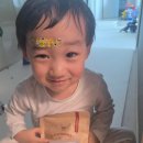 [공지] 우리 가족 건강식으로 딱 🤍 고소하고 맛있는 베이비 리마빈 후기