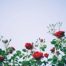 상상애드디자인 이미지