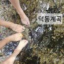 석동숯불구이 이미지