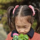 4월 2~3일 바질 심기 &amp; 강낭콩 심기 🥬🌱💚 이미지