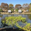 카페인하원 이미지