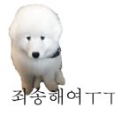 로얄마트 이미지