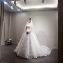 [WEDDING}11. 디아몽 웨딩 드레스 1차 피팅 후기 / 수성호텔 연계 드레스샵 선택 후기 / 본식 드레스...