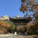 [마감] 11월 8일 (토) 가을 햇살과 단풍 사이 우이령길 이미지