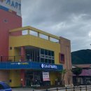 이평로 | 인제 현지인 추천 카페 : 유기농제빵소 후기 (빵맛집)