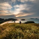 개머리언덕.수크령여명(별빛출사20250929~30 이미지