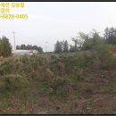 서홍동-11 이미지