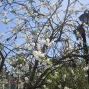 조양카센타 이미지