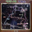 자작나무힐 이미지