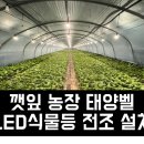 장일농장 네이버블로그