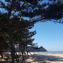 구례포해수욕장(주차장) 이미지