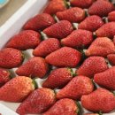 산지로 | 킹스베리 딸기 추천 논산 산지직송 류권호농원 고당도 딸기 후기