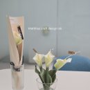향기로운 공예 | 리얼 카라 캔들 만들기- 감성 캔들공예 클래스 후기