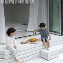 그리니제주 네이버블로그
