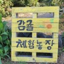 덕승농장 이미지