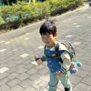 광안장수 경로당 | 5월 둘째주 주간일기 (2026.05.04~2026.05.10) 부산여행