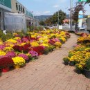 동구청 분수대 이미지